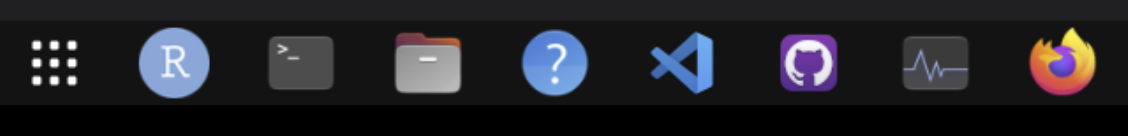 Taskbar showing application icons from left to right: app launcher, RStudio, Terminal, File explorer, Help, VS Code, GitHub Desktop, htop, and Firefox